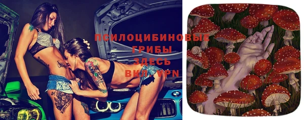 амф Алексеевка